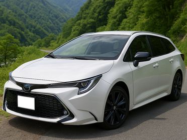 車バッテリー(鉛)スクラップ車タイプ別買取の例/中型乗用車